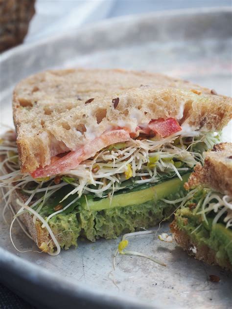Avocado Sandwich Vegan — Peasful Plate Alfalfa Sprouts Recipes