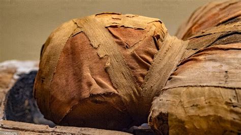 ancient egyptian mummies top facts and hidden secrets