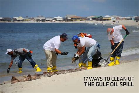 17 Ways To Clean Up The Gulf Oil Spill