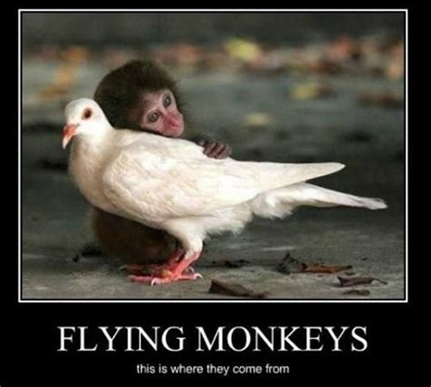 Monkey Quotes Monkey Sayings Monkey Picture Quotes