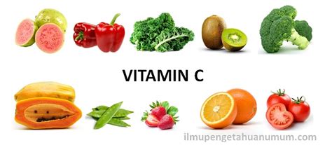 Gambar Makanan Yang Mengandung Vitamin D Bonus