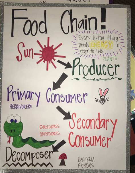 Food Chain Anchor Chart Food Chains Anchor Chart Ecosystems Lessons