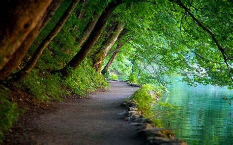 Plitvice Lakes National Park Croatia Southeast Europe World For