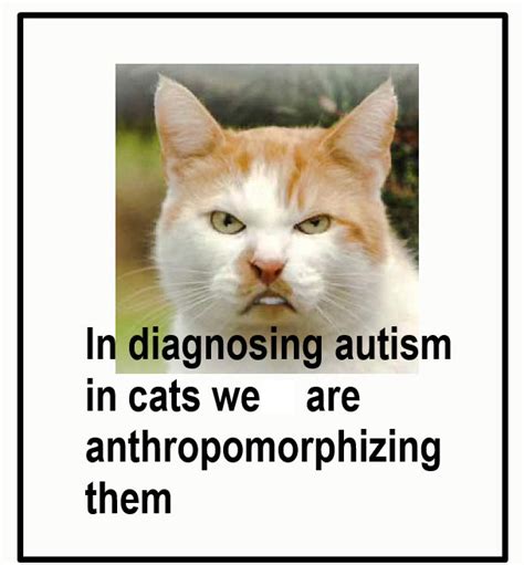 How a cat enabled an autistic six year old to communicate. Is my cat autistic? - PoC