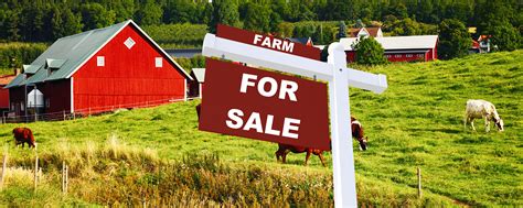 Farm For Sale Farm Grants Farm Funding