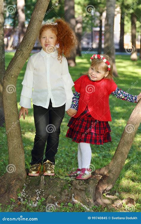 Twee Meisjes Verenigt Zich Dichtbij Bomen Stock Afbeelding Image Of
