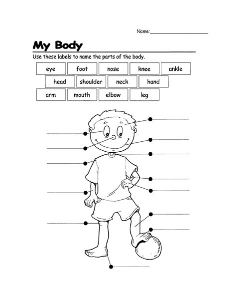 Parts Of Body Worksheet For Preschool