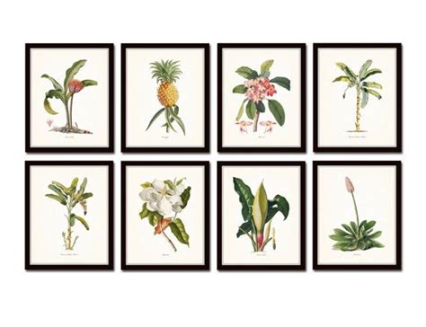 Botanical Print Set No14 Tropical Botanical Prints Giclee Etsy