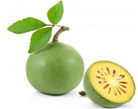 Buah Maja: Manfaat – Efek Samping dan Tips Konsumsi - IDN Medis