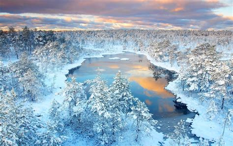Winter Forest Lake Snow Trees Reflection Nature Sunset Clouds Cold