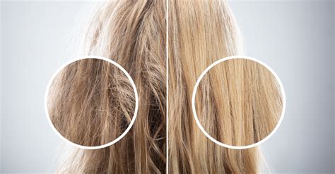 6 Astuces Naturelles Pour Avoir Des Cheveux Plus Beaux Découvrez Les