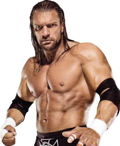 Triple H The Cerebral Assassin The Game The King Of Kings
