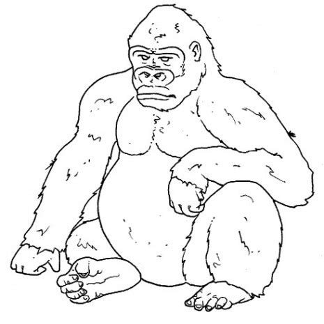 Plantillas con dibujos de animales salvajes para colorear | Colorear