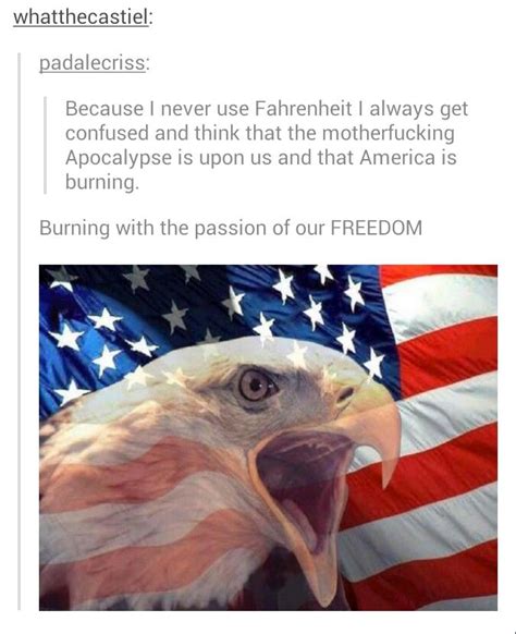 Pin By Kels 🎀 On Tumbling Down Tumblr America Funny America Memes