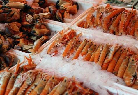 Some clinics can give discounts, or allow you to pay on a sliding scale that is based on. How Much Does a Shrimp Boat Cost? 12 Shrimp Trawler Price ...