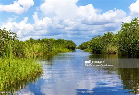 Everglades Natural Landscape High Res Stock Photo Getty Images