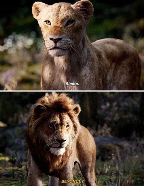 Long live the king has arrived! "Lion King" Lives! Long Live The Lion King Memes! (30 pics ...