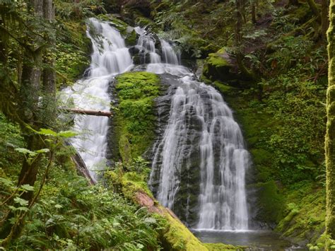 Waterfall In The Ford Pinchot National Forest Smithsonian Photo