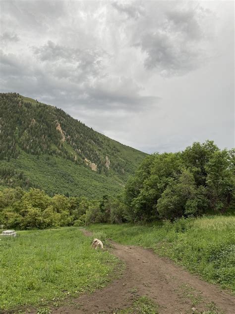 Photos Of Battle Creek Falls Trail Utah Alltrails