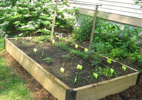 Raised Bed Vegetable Garden Layout Summer Pinterest