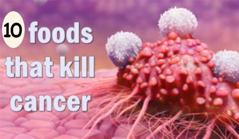 This dog cancer diet is made up exclusively of foods that encourage healthy cells and discourage cancer growth. 10 Foods that kill cancer cells Immediately