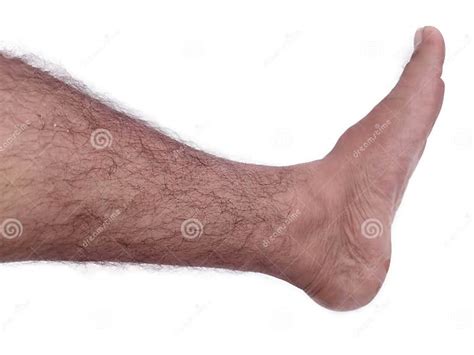 Legs With Hairs Close Up On White Background Isolated Stock Photo