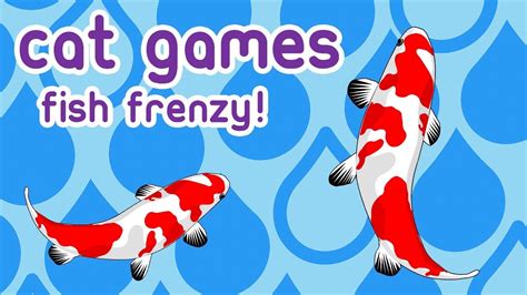Cat Games Fish Frenzy Fun At Home Entertainment For Cats Youtube