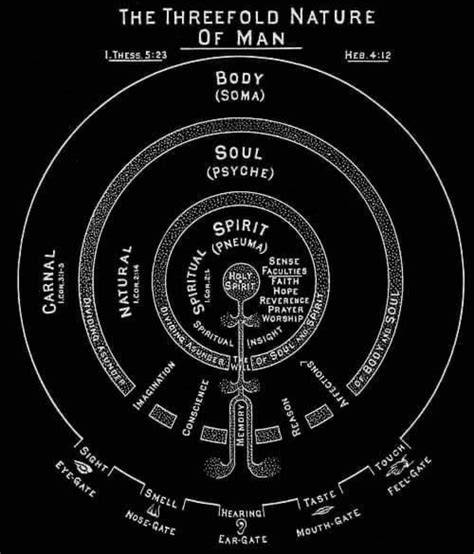 Here are 12 signs to watch you might even feel reassurance to know that these feelings, symbols and signs are all common. Pin by MASTER THERION on Hermetic Esoteric Occult in 2020 ...