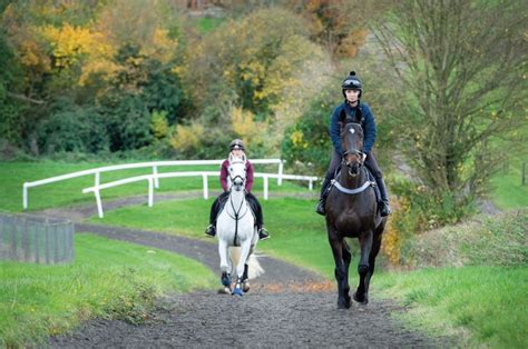 7 Reasons To Ride On The Gallops Whether Your Horse Competes Or Not