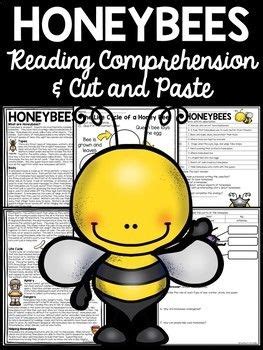 Honey Bee Reading Comprehension Worksheet And Life Cycle Of A Honeybee