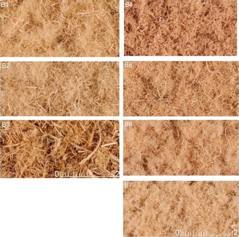 Wood Fibers Produced From Different Grinding Disc Distances Left And
