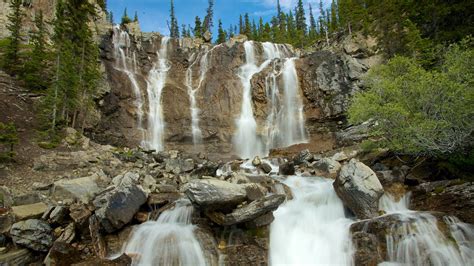 Tangle Falls In Jasper Alberta Expediaca