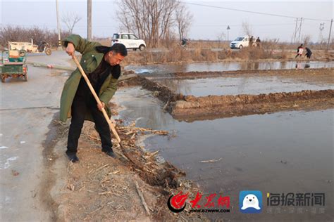 阳信县商店镇：小麦春管正当时 追肥浇水保丰收阳信滨州大众网