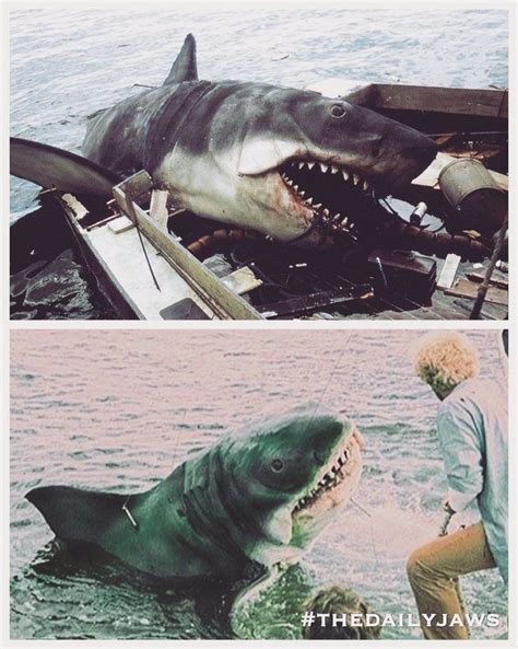 Pin By Cryptic Pictures® On Amity Island Amity Island Shark Movies