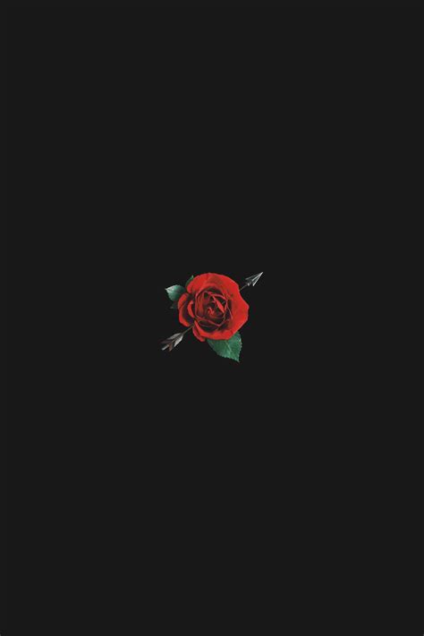 Aesthetic Dark Rose Wallpapers Wallpaper Cave