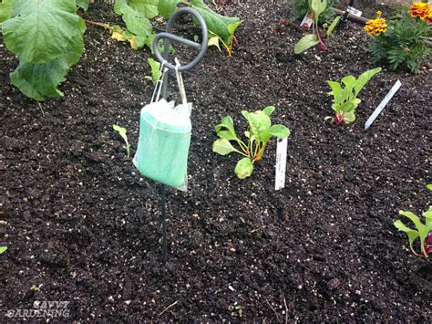 Learn the solution on how to keep deer out of your if you love your fruit trees and refuse to let deer dictate what to grow in your own yard, then good for you. Deer proof gardens: 4 sure-fire ways to keep deer out of ...