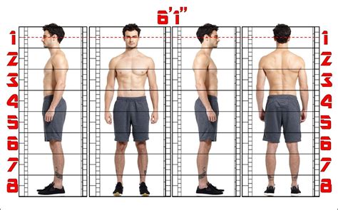 Kaffetech Trainer Shorts Anatomía Proporciones