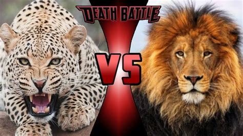 There are so many players on both sides with big points to. LION VS CHEETAH|STRENGTH VS SPEED|FEAR - YouTube