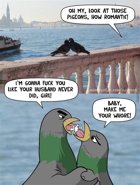 Funny Quotes About Pigeons Quotesgram