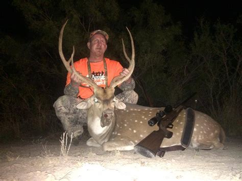 Exotic Game Hunts In South Tx 4 Amigos Ranch Hunting Packages