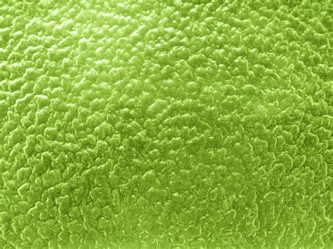 Lime Green Textured Glass With Bumpy Surface Picture Free Photograph
