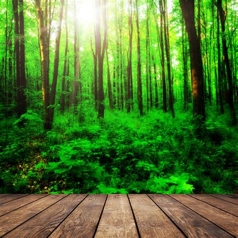 Forest Natural Wood Plank Backdrops Tree Photographic Backgrounds Photo