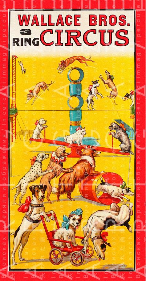 Cutest Stunning Circus Dogs Vintage Circus Poster Antique Etsy