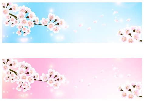 Pink flowers petal computer file, flowers with petals falling on, pink petaled flowers illustration. Cherry Blossom Banner Vector Pack 58869 Vector Art at Vecteezy