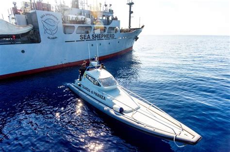 Sea Shepherd Uk Sea Shepherd Launches A New Campaign In The