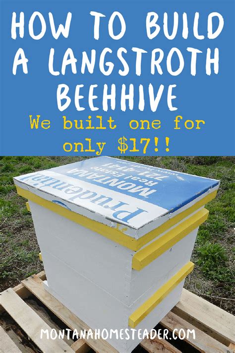 How To Build A 10 Frame Langstroth Bee Hive For Cheap