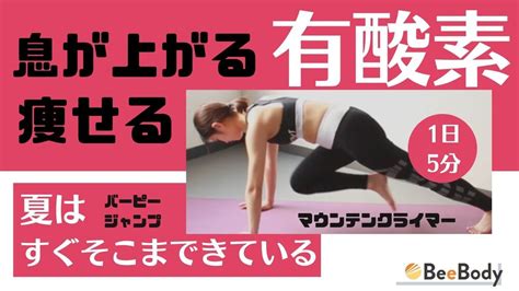 【有酸素】あと3キロをかなえるトレーニング！組み合わせ自由に毎日楽しく！【全身運動】 Beebody