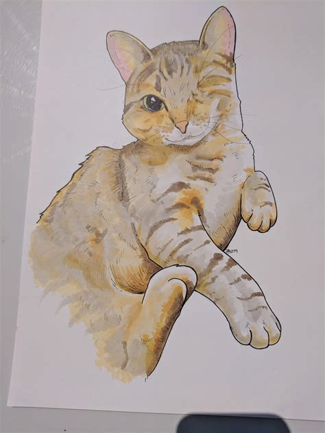 One Eyed Cat Drawing Canvas Beaver