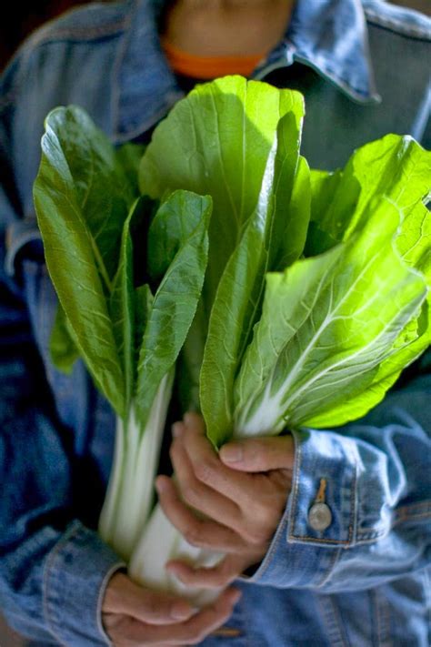 Kalau yang tak pernah cuba, cubalah sekali. Sawi Putih Masak Lemak - masam manis