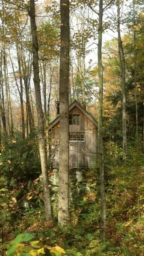 Maybe you would like to learn more about one of these? Pin by Tess Holden on Woodland Retreats in 2020 | Cabins ...